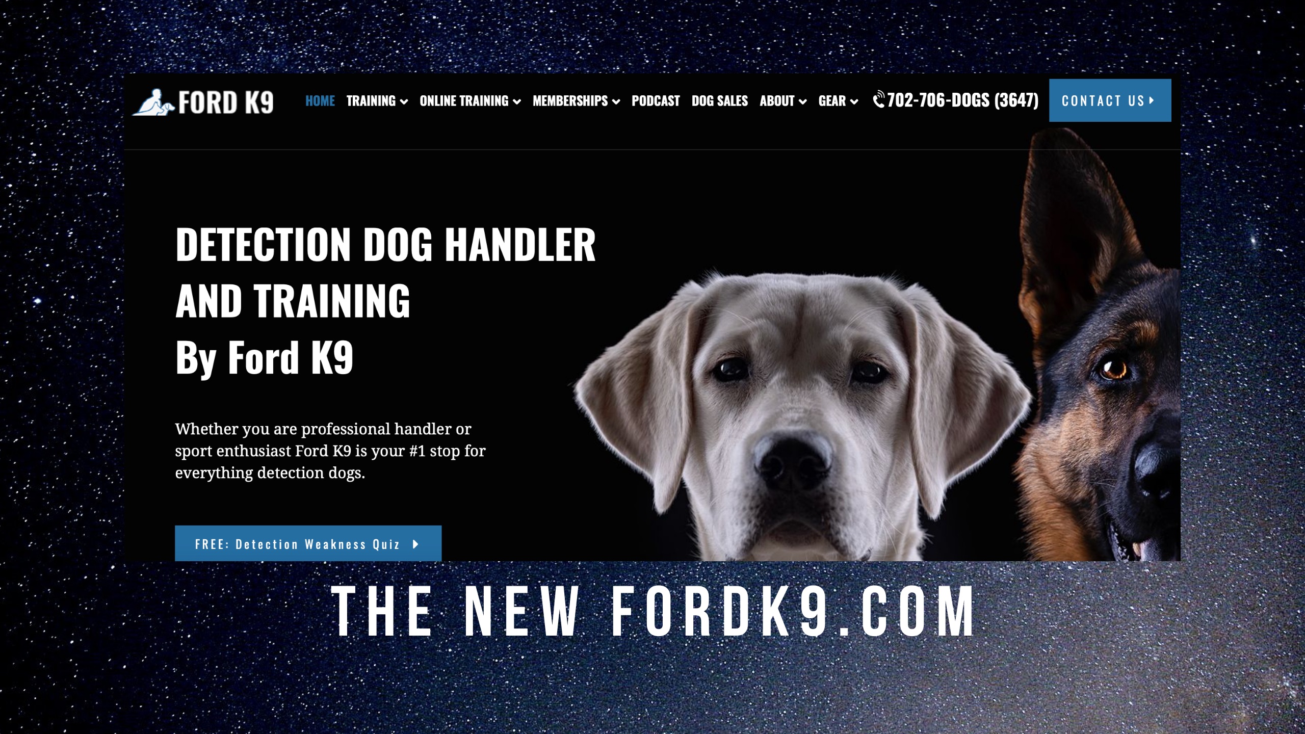 dog-trainer-school-for-detection-dogs-ford-k9-llc