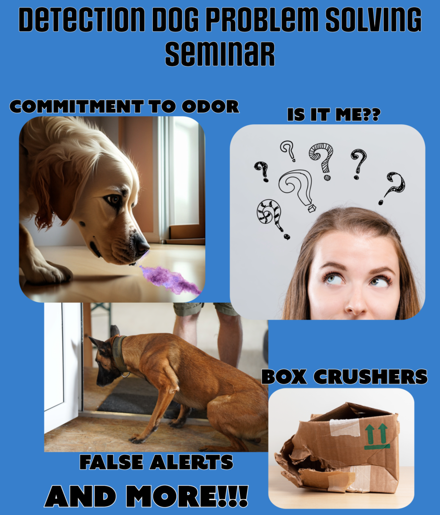 dog behavior problem solving