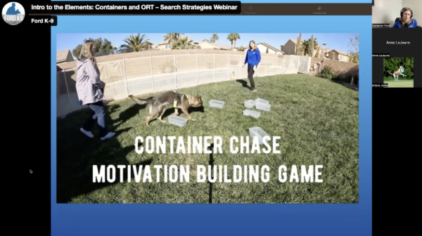 Intro to the Elements: Containers and ORT – Search Strategies Webinar