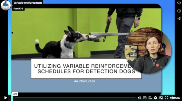 Maximizing Detection Dog Performance: Utilizing Variable Reinforcement Strategies Webinar